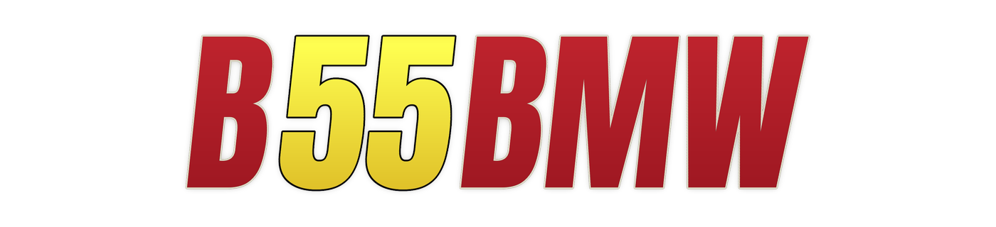 b55bmw Logo